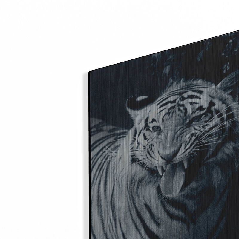 «White Tiger 2» par Gordon Semmens, H 16 po x l 12 po