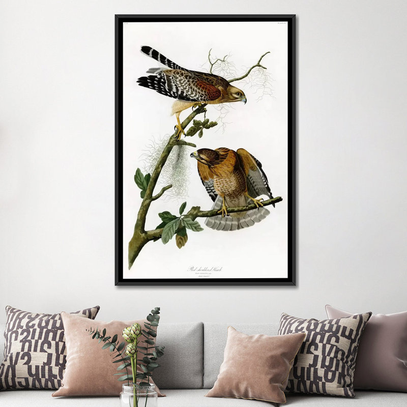 « red-épaulee hawk » par john james audubon, reproduction d’art sur toile, H 26 po x l 18 po x P 1,5 po, Pas de tapis