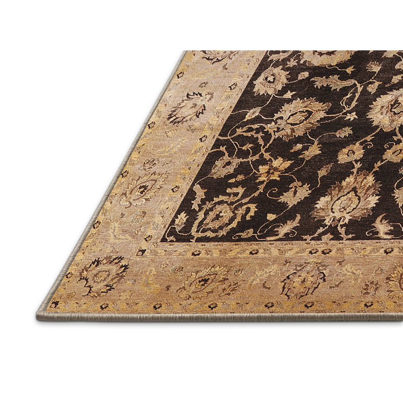 Poul Oriental Indoor Rug, Rectangle 2' x 4'