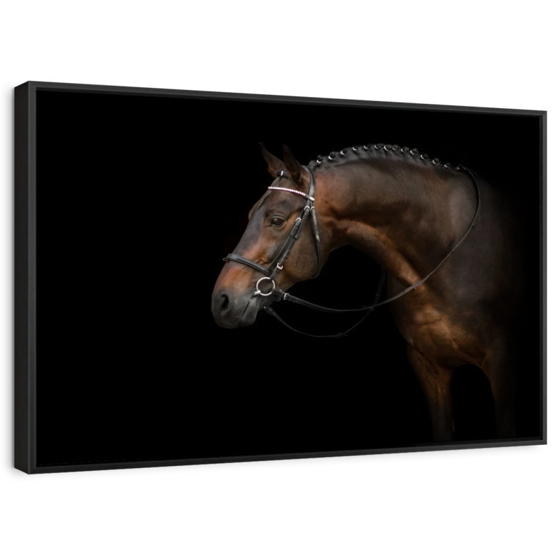 Animal «Bridled Dark Brown Horse Canvas Print», H 9 po x l 13 po