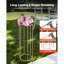 Backdrops & Signs-1498852960