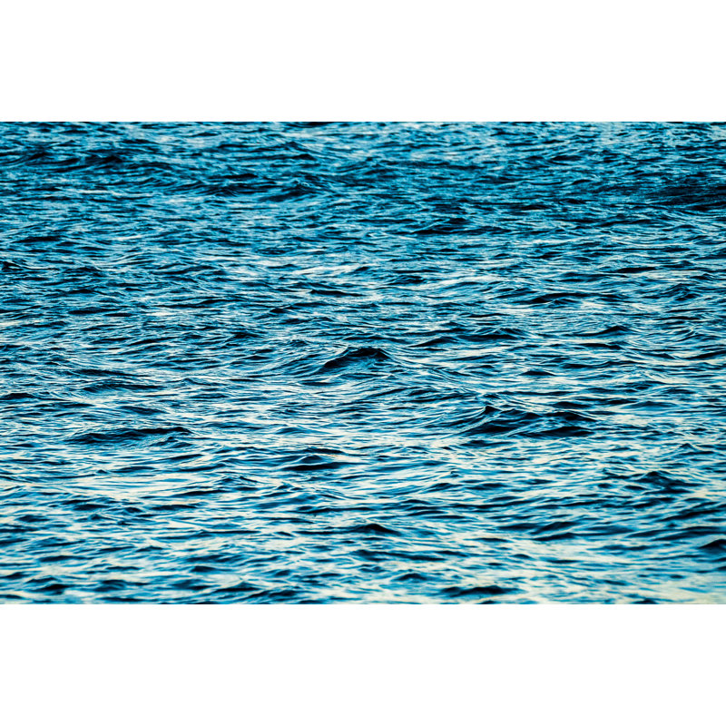 Blue Chop Print by Ted Glasoe