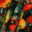 Tapisserie murale Habanero-133638957