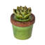 Figurine en céramique Echeveria-1695784436