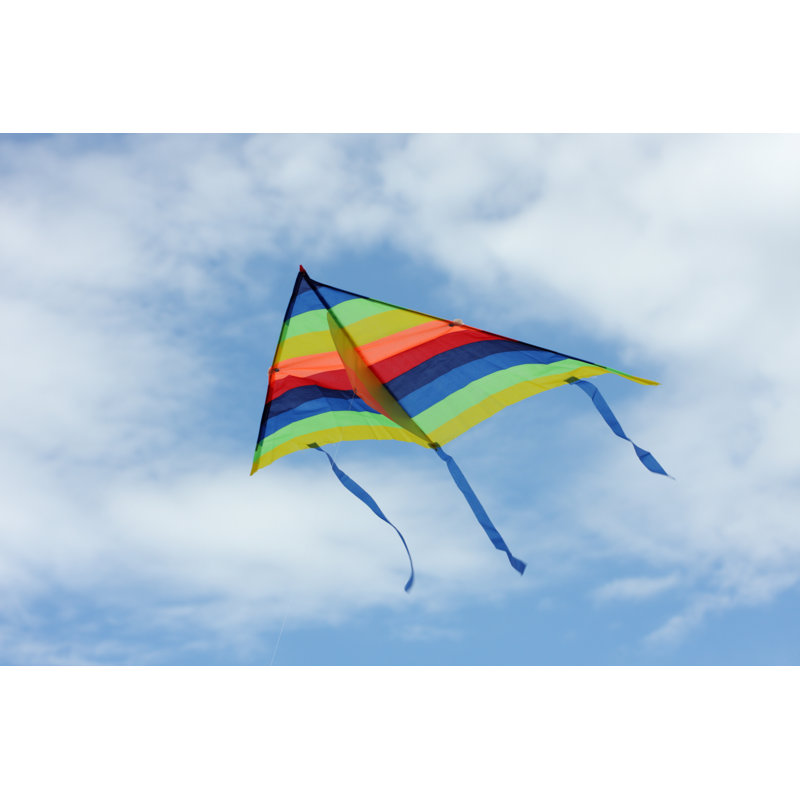 Cerf-volant coloré volant dans le ciel par Parfyonov, H 24 po x l 36 po