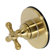 Brushed Brass