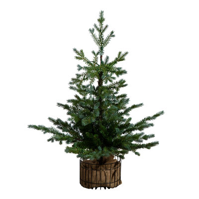3Ft. Pre-Lit Artificial Christmas Tree In Jute Wire Planter With 30 Warm White LED Lights