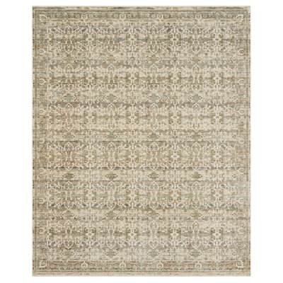 Divina Performance Oriental Indoor Rug