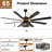 Hilde 65'' Industrial Caged Ceiling Fan with Lights and Remote, Farmhouse DC Motor Black Large Chandelier Ceiling Fan For Living Room-1035673066
