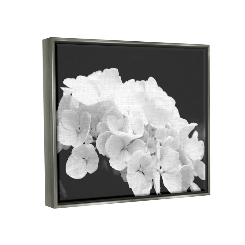 «Delicate White Hydrangea Petals» par Lil 'Rue, H 17 po x l 21 po x P 1,7 po, Cadre flottant gris lustré