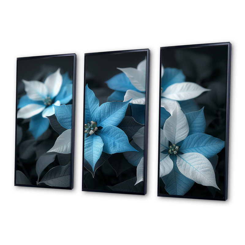 «Casserly - Poinsettias», ensemble de reproductions d'art mural, H 28 po x l 36 po x P 1 po, Toile avec cadre flottant noir