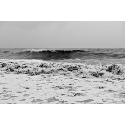Seaspray Print by Barclay Butera