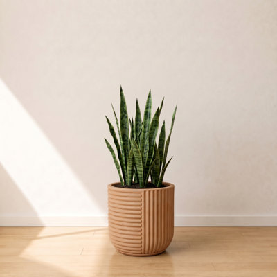 Johnmason ECOBO 13.4 inches Eco-Friendly Round Pot Planter, Linhas Indoor/Outdoor Four Season Use