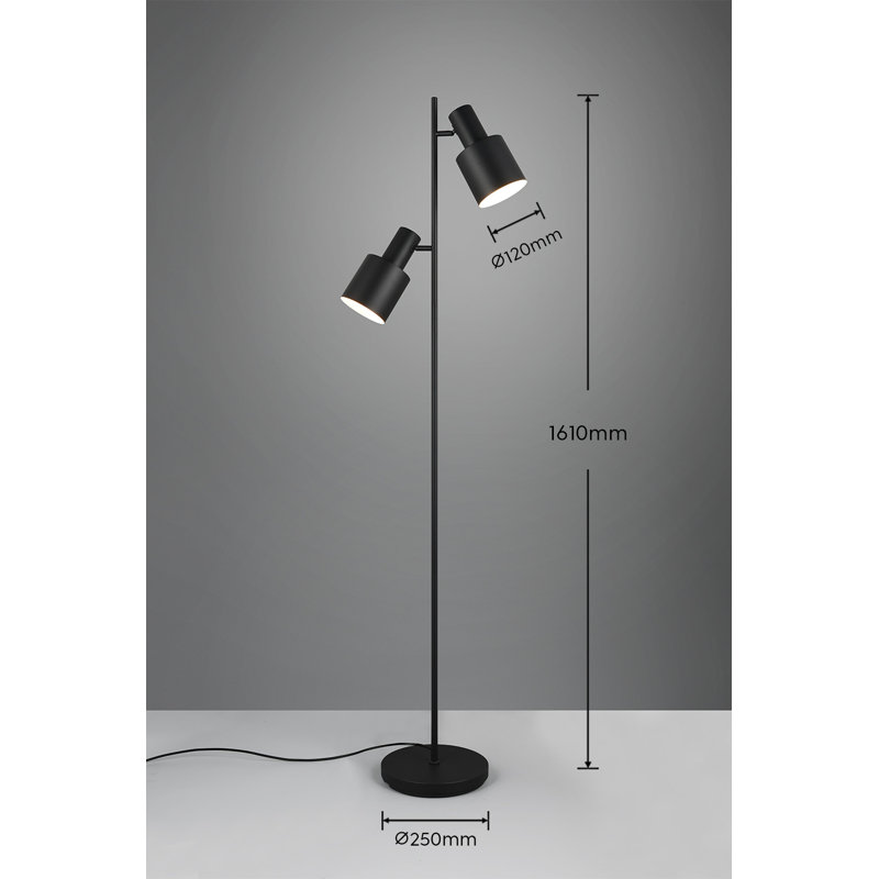 Kenisha 161cm Floor Lamp, Black