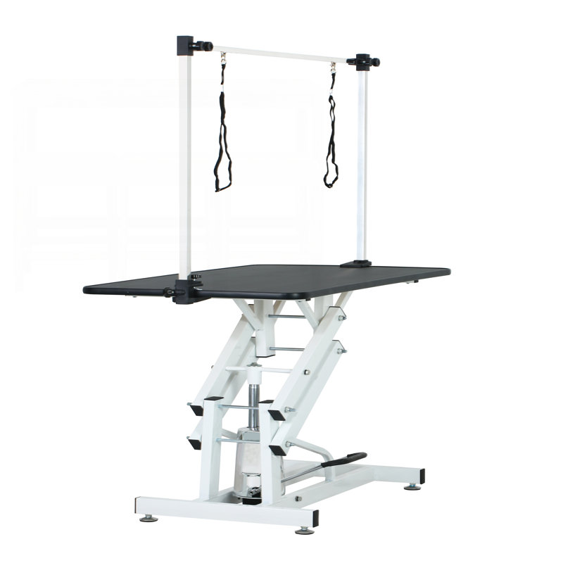 43 Inch Adjustable Heavy Duty Hydraulic Pet Grooming Table with Stable Z-Lift Base and Noose for Professional Use, Black