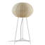 Garota LED Floor Lamp-146047511