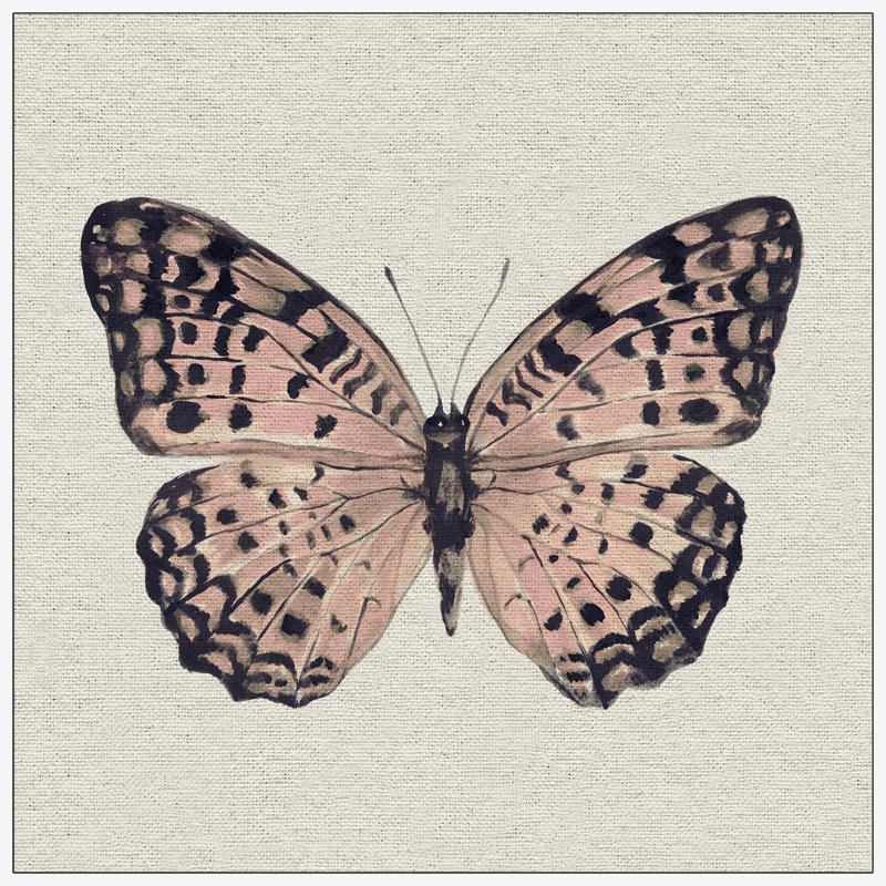 « rose et noir papillon ii »-impression sur toile, H 48 po x l 48 po x P 1,5 po