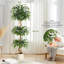 Plant-1645508730