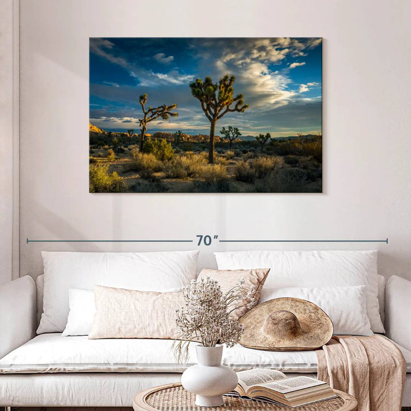 Paysage du parc national Ravi Joshua Tree, H 30 po x l 45 po