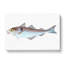 Haddock Fish by Edward Donovan - Wrapped Canvas Painting-55360718