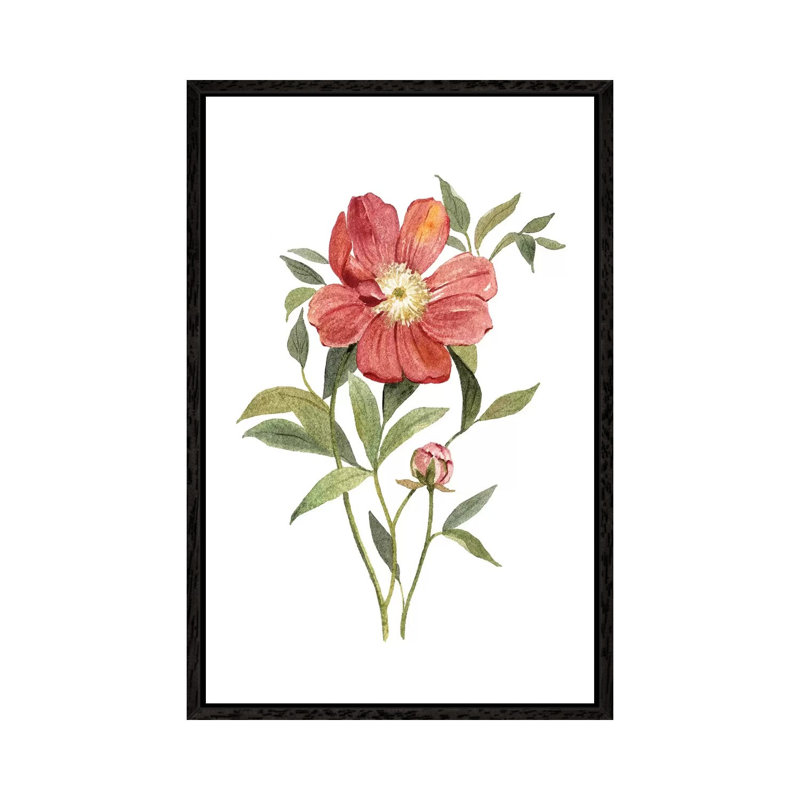 Scarlet Peony by Carol Robinson - Painting on Canvas, Black Framed, 152.5 cm H x 101.5 cm W