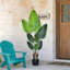 160cm Faux Bird Of Paradise Plant