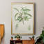 Amande antique botanique III-88436830-88436834