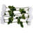Roses Stem-35480675