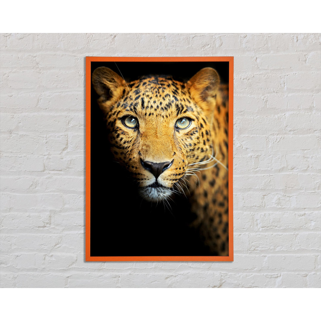 Anquetta Leopard Beauty - Einzelner Bilderrahmen Kunstdrucke