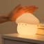 Veilleuse champignon