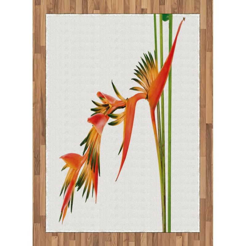 LaGrange Floral Hand Woven Area Rug, Rectangle 120 x 180cm