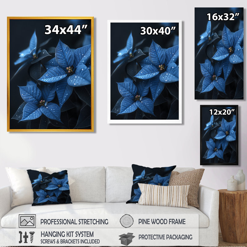«Blue Poinsettias Nocturnal Nirvana» - impression d'art mural poinsettias, Impression noire sur toile encadrée
