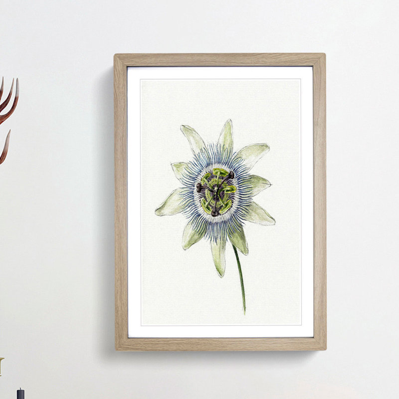 Passion Flower by Jean Bernard - Picture Frame Painting Print, 65cm H x 48cm W x 2cm D, Oak Framed