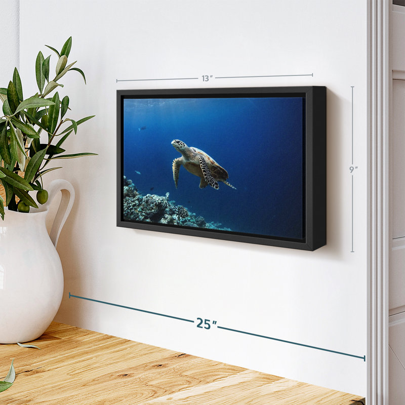 «Turtle Adventure», reproduction sur toile, H 9 po x l 13 po