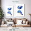 Vol de baleine bleue-1607797776