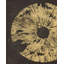 Lightning Flash Print by Sara Brown-25802521-25802522