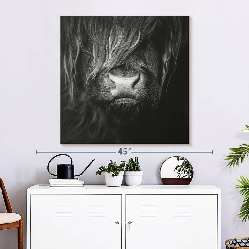 Visage de vache Brampt Highland, H 33 po x l 33 po