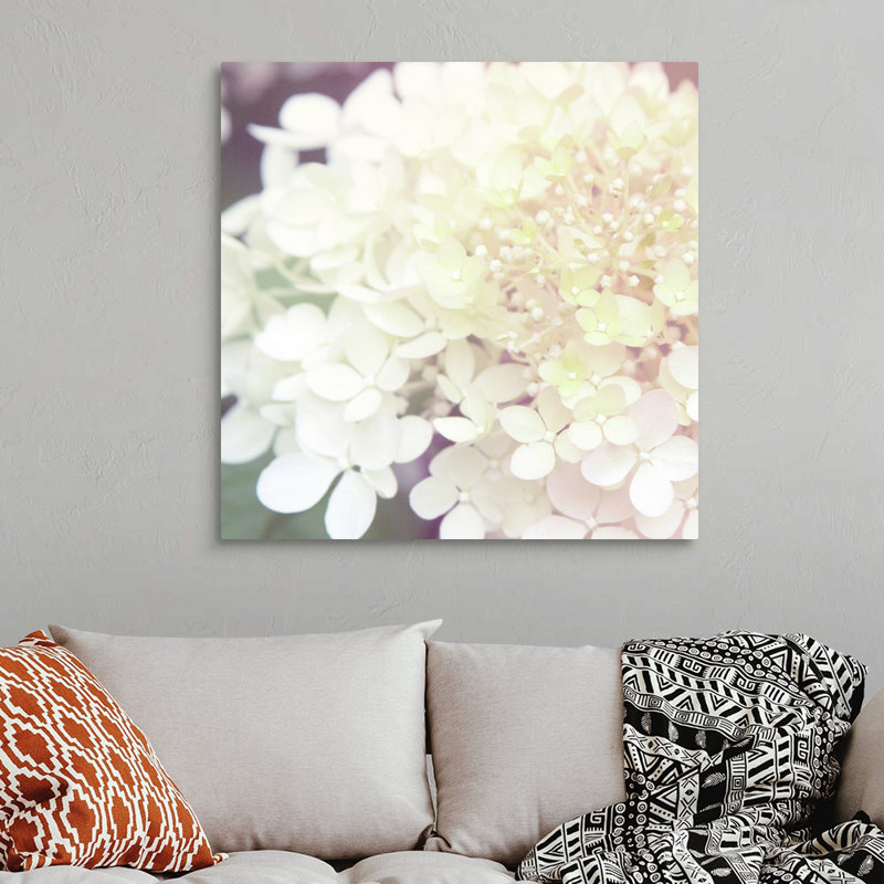 Hydrangea Dream II, art mural sur toile, Toile tendue, H 36 po x l 36 po x P 1,25 po