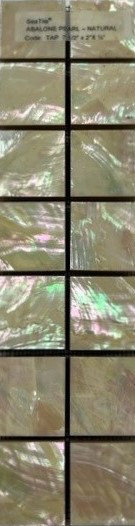 2" x 7.5" Authentic SeaShell Listello/Border Tile Mosaic in Abalone Pearl