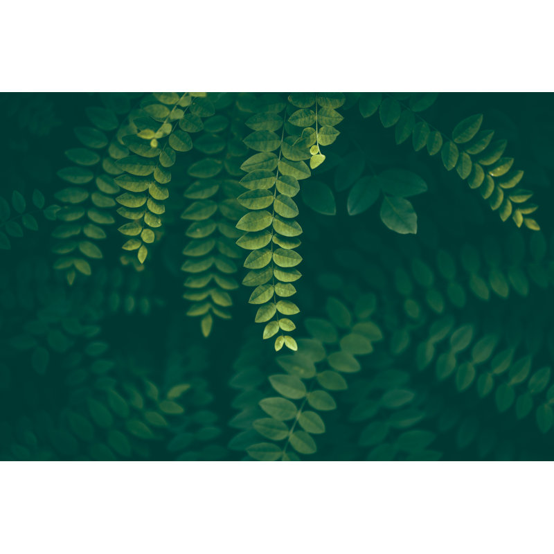 Leaf Background by Jasmina007, 12" H x 18" W