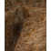 Huckstep One-of-a-Kind 9' 1" X 11' 4" Wool Area Rug Green