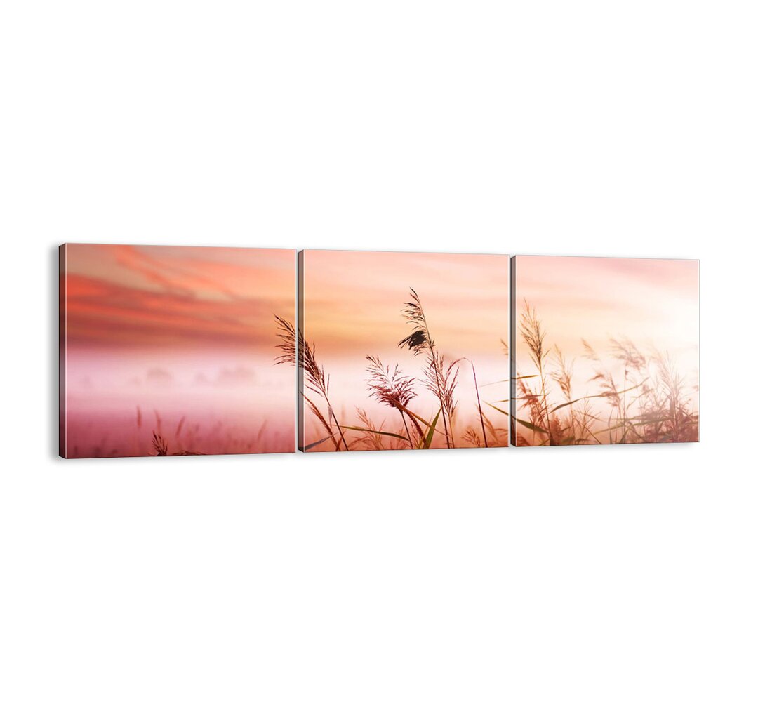 3-tlg. Leinwandbilder-Set - Fotografie „Kites, Dandelions, Wind”