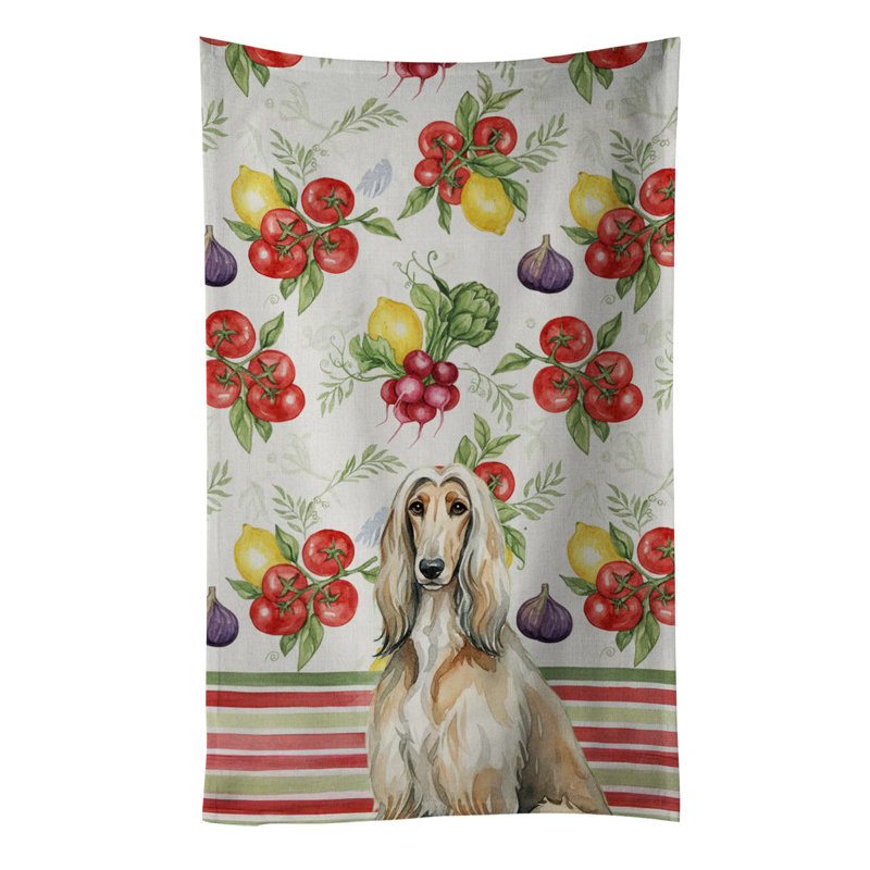 Torchon afghan, Lévrier afghan