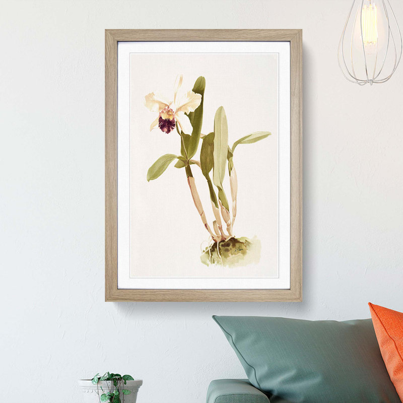 Magnolia Flowers Illustration Tab. 67 by Frederick Sander - Picture Frame Painting Print, Oak, 91cm H x 60cm W x 2cm D