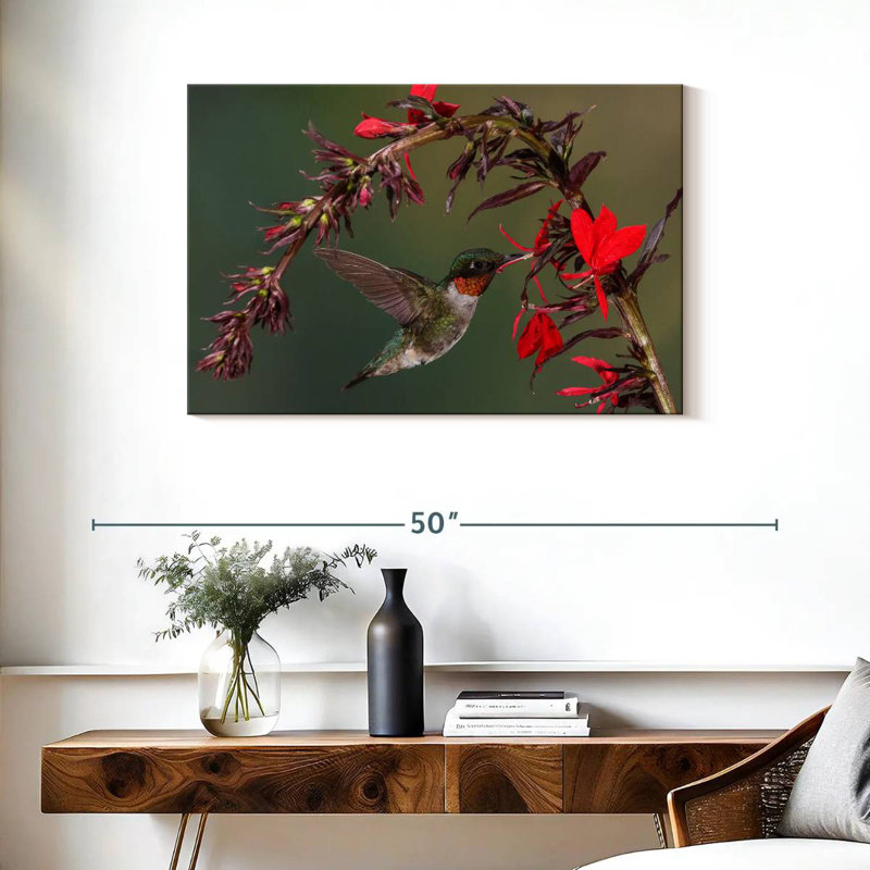 Brampt Fluttering Hummingbird