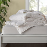 Lightweight Duvet Insert Comforter