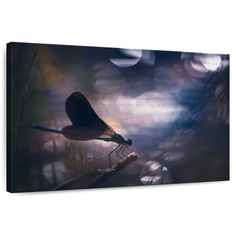 Libellule bleu Bramopter calopteryx, H 30 po x l 45 po