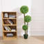 Topiaire faux buis en pot