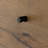 Aceton 41.5'' W 5 - Drawer Dresser