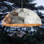 Turtle Dome Light-914055000